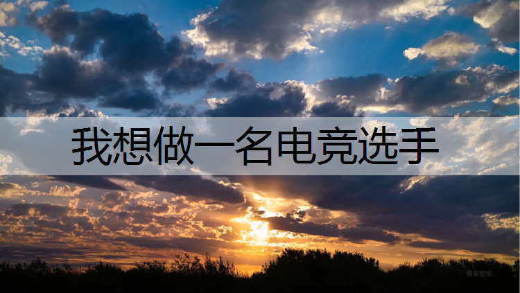 我想做一名电竞选手